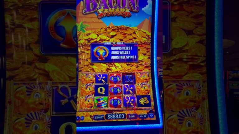 Five of a kind bonus symbol and full screen of gold pigs! #slot #lasvegas #shorts #short #casino